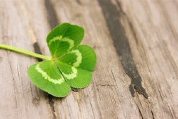 记火星人不足半月的校园之行 记火星人不足半月的校园之行